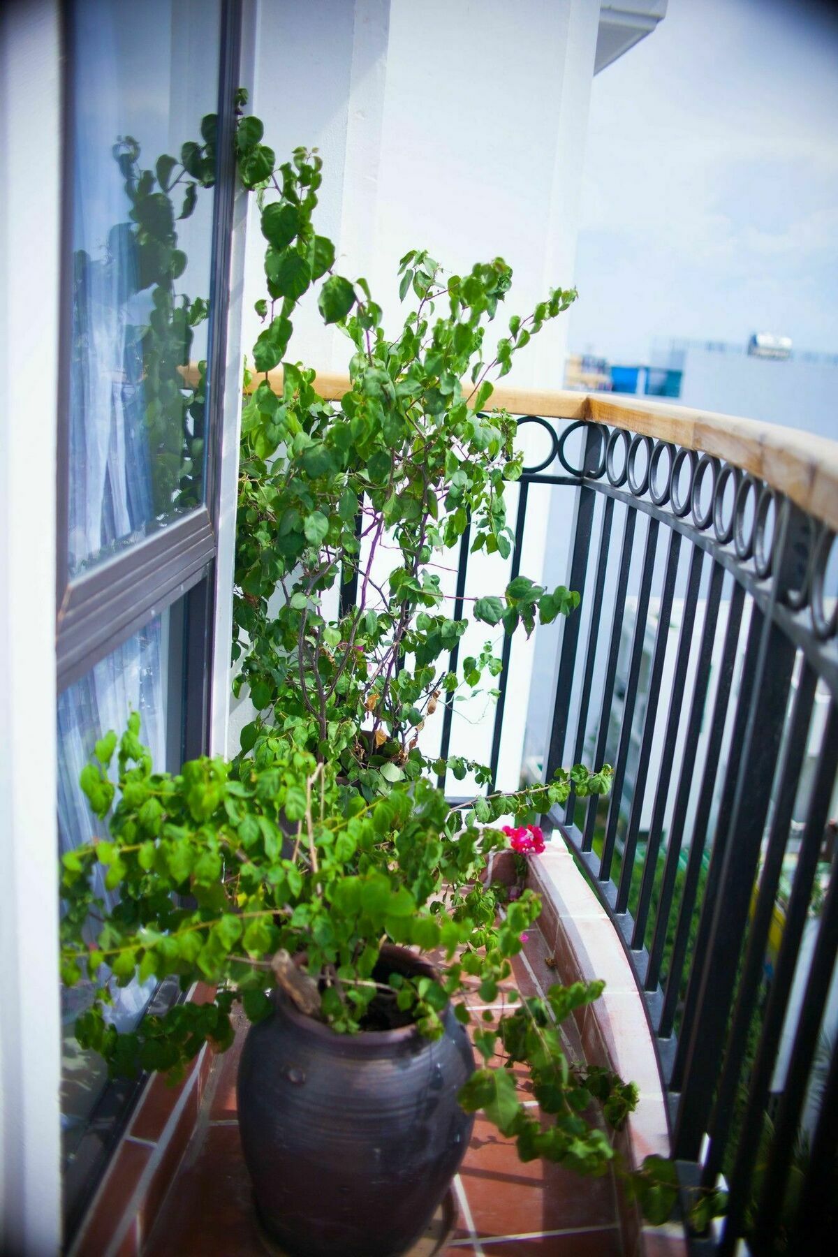 Eco Green Boutique Hotel Danang Exteriér fotografie